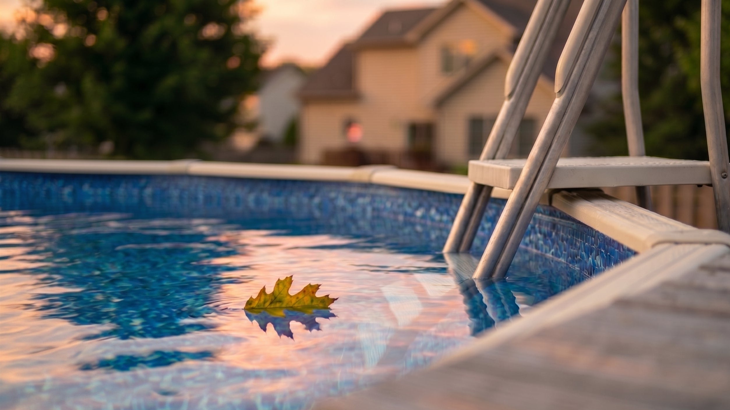 Pool with a leaf floating on the water, surrounded by a house and trees during sunset.